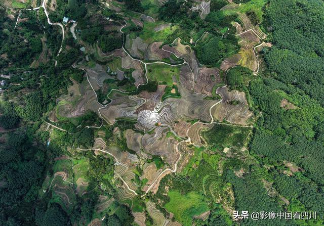 海南五指山：夏日牙胡梯田