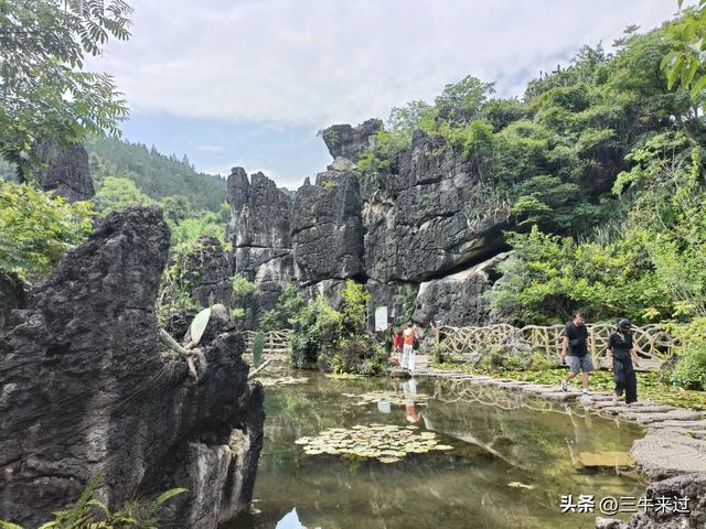 无为在歧路，贵州六日行（8）～黄果树