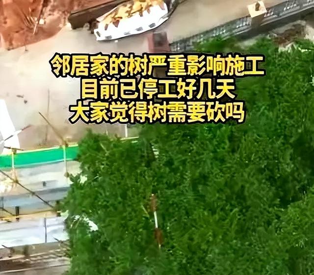 全红婵建房最新进展，邻居需求太苛刻，律师出狠招！婵宝有麻烦？