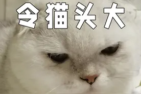 不要白白呆在兰州，这几个小众免费场馆周末打卡正好！图片