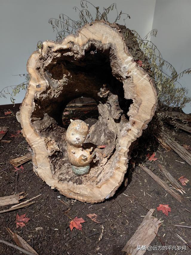 温哥华游记（二）