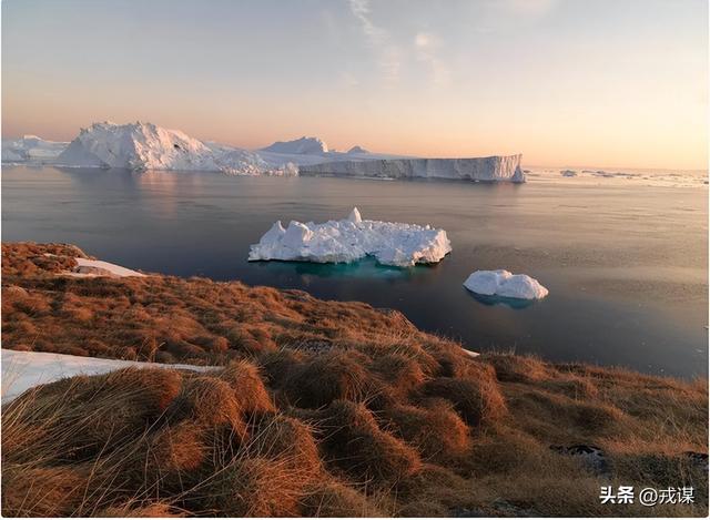 冰岛“无蚊净土”没了！冰岛首次发现蚊子，人类可能是“帮凶”？