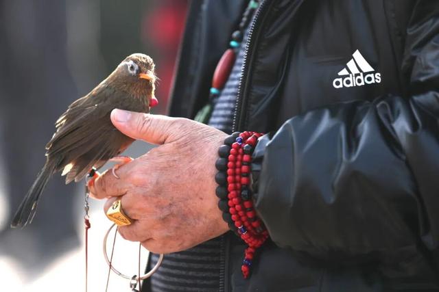 听劝，冬天在开封，还能这样玩！