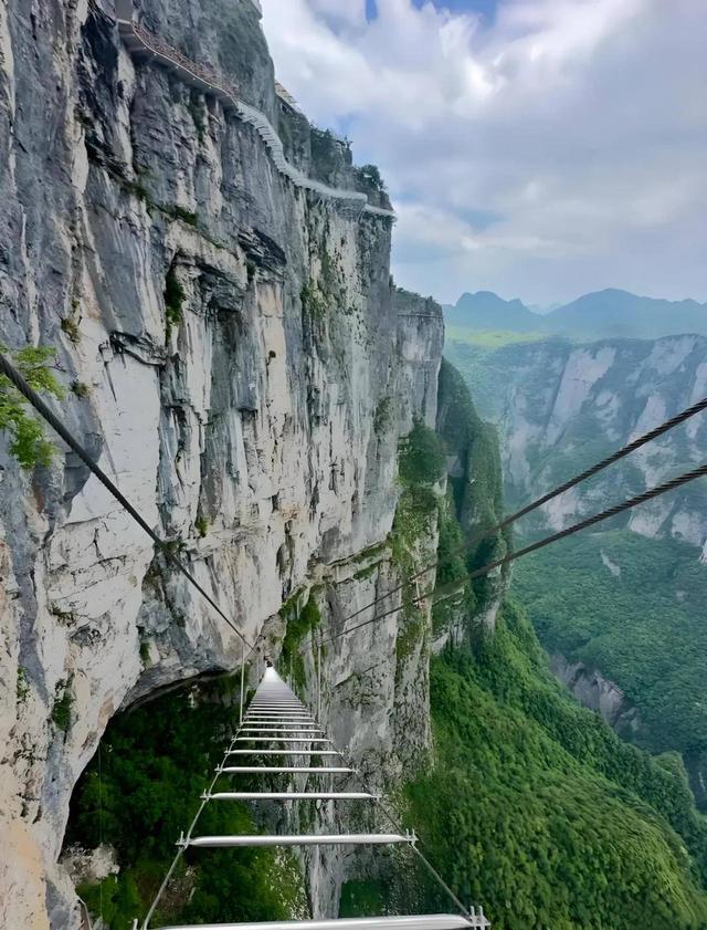 2026年张家界文旅该怎么做？看懂了你就抢先了机会！