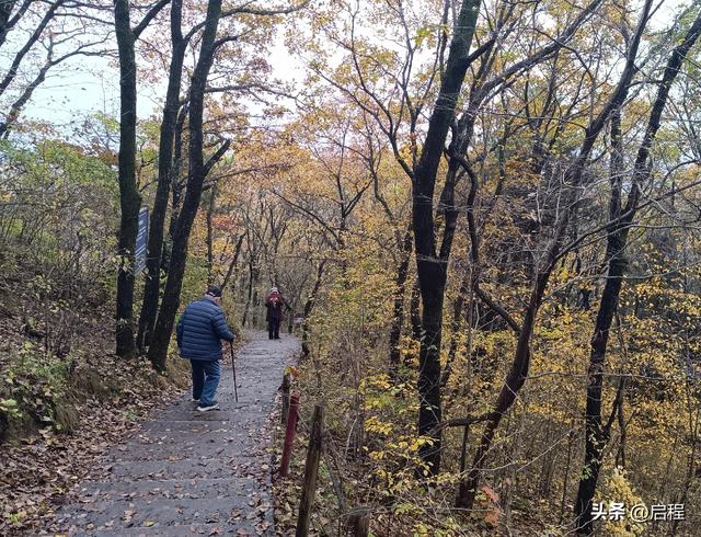 80多岁的老人爱上户外徒步