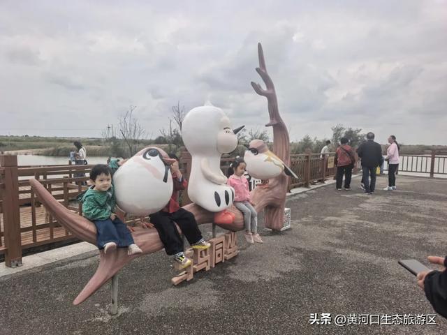 【情满双节游东营】黄河口生态旅游区游人如织，沉浸式体验国庆氛围