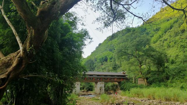 两代人接力7年建一座桥:重庆深山里的“愚公移山”,感动很多人