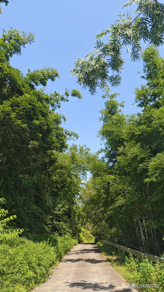 周末遛娃:增城正果亲水之旅