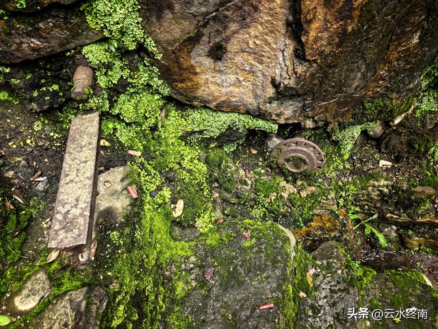 川陕交界的210国道上，有唯一的一段单行线，藏着蜀道上两个秘密