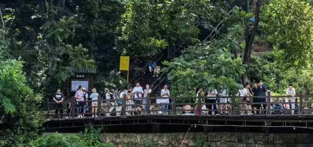 戏水撒欢享清凉！游客被夏日千山圈粉