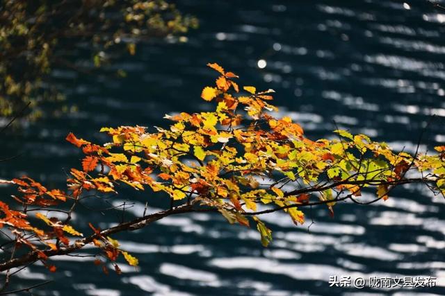 天池「初妆」，素颜静好