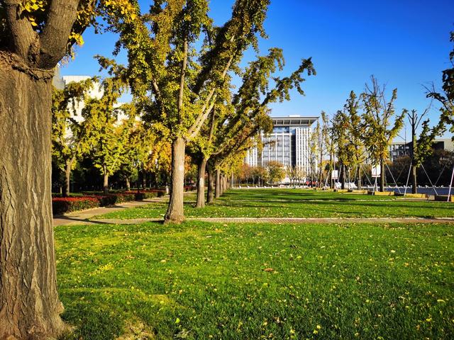 山东人，去了燕郊跟三河，毫不避讳：燕郊跟三河东大相径庭