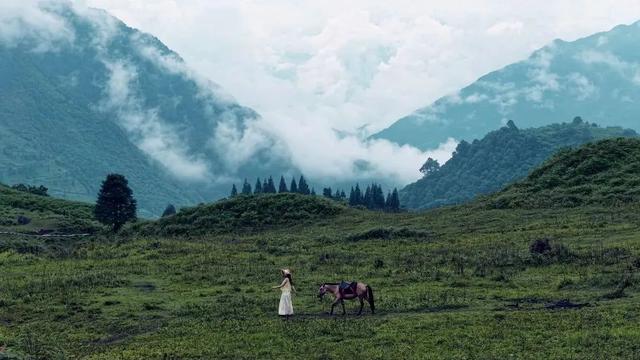 暂别川西！乐山黑竹沟已经美到神仙级！