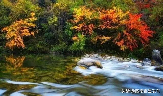 官鹅秋韵：在层林尽染中遇见“秋水天长”