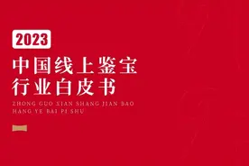 微拍堂联合多家权威机构发布《2023中国线上鉴宝行业白皮书》：以“鉴宝”为基础，预见行业未来图片