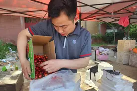 新安樱桃大丰收 顺丰科技加持保障鲜果发运图片