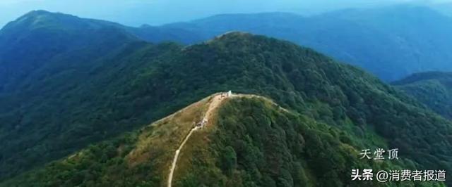 速来广东避暑！六大主题胜地，堪比“空调房”