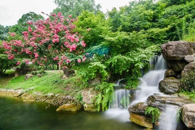 成都出发最快0.5h，山林湖岛间露营烧烤，野趣又好玩！