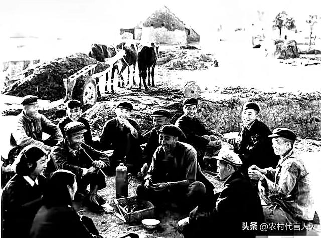 献给老去的50、60后们，答应只许看，不许哭！满满的都是回忆！