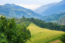 晨不吐口水，午不泄精水，晚不流汗水，学会了延年益寿图片