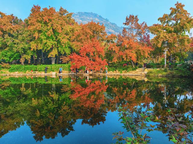 又见天平山：一叶知秋，一枫醉心