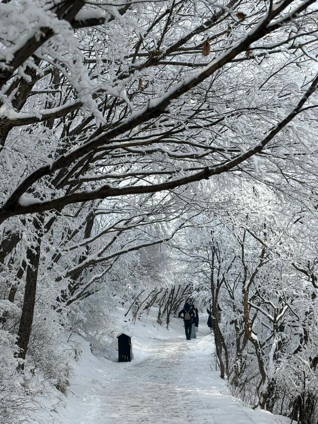 首遇云台山的雪凇美景