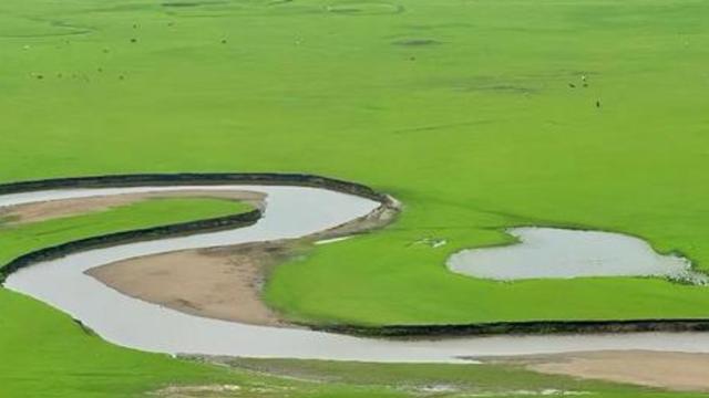 游遍中国美景之一呼伦贝尔大草原