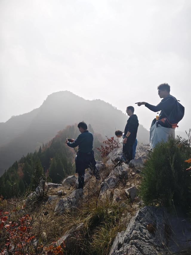 去博山盆泉张丹顶赏红叶