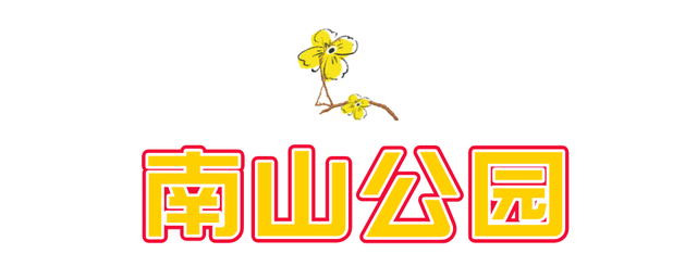 此刻！烟台花花花花花开了