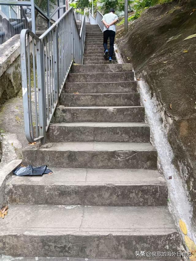 【旅游攻略】香港太平山：怎么爬上去？哪里可以免费拍维港全景？