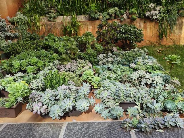 段丽仙：把海东院子住成温情故