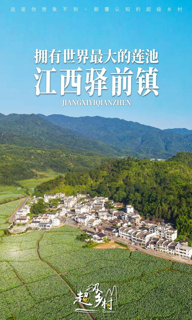 江西一座低调的古镇藏着50多幢明清豪宅，全球最大的莲花池就在此