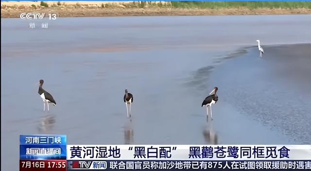 央视聚焦30余次！河南文旅多彩活动畅爽一夏