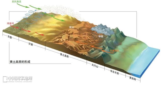 用一颗梨赚87亿？山西千年古县藏不住了，258万年前黄土埋秘密