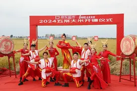 五常大米开镰丰产70万吨 京东大规模包地底价图片