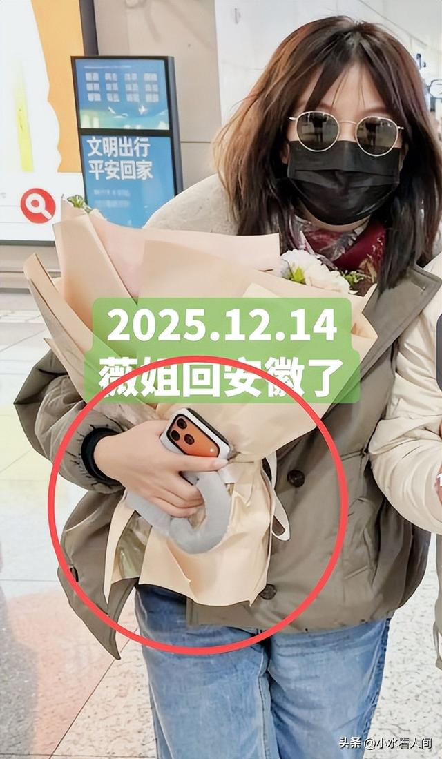 落地凤凰不如鸡！赵薇回老家探亲，全副武装包裹，不敢露脸怕见人