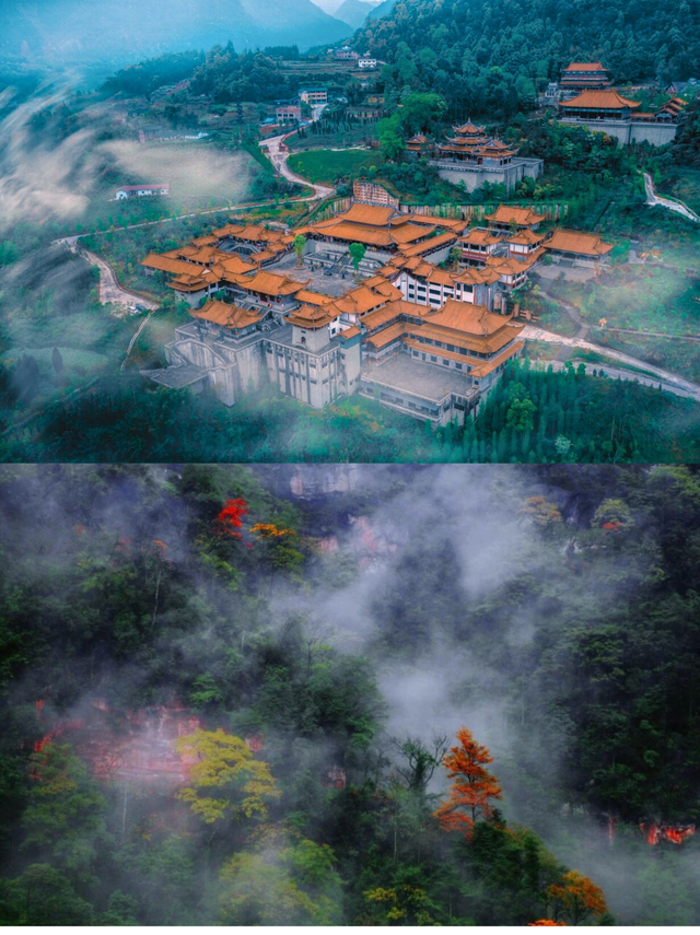 去四面山吧，别浪费重庆转瞬即逝的秋天！🍂