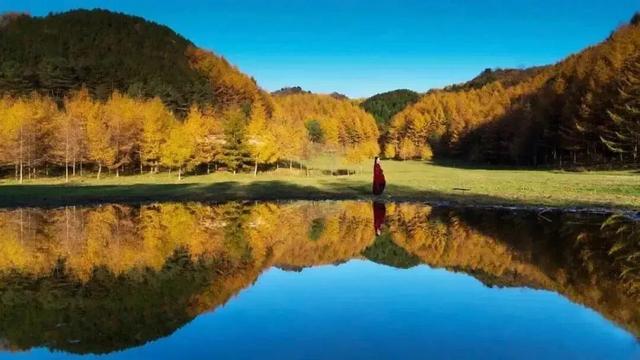 2025四川红叶观赏指数发布：曾家山达Ⅲ级 漫山红焰邀您赴秋约