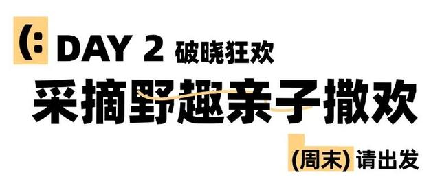 周末向北，去济南这个小县城里摘桃、吃鸡、泡温泉，恣儿得很！