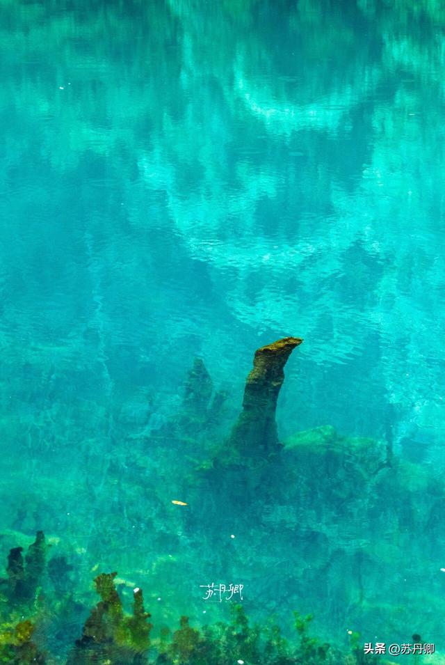 中国唯一没有平原的省，究竟有多“邪修”？贵州的山水过于惊艳