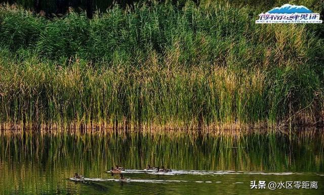 水系图鉴丨看乌鲁木齐如何用碧波书写离海最远的浪漫