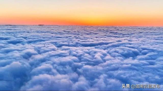 千年药乡•康养宕昌 | 别等！宕昌大草原的“绿毯”要收了，现在打卡正当时