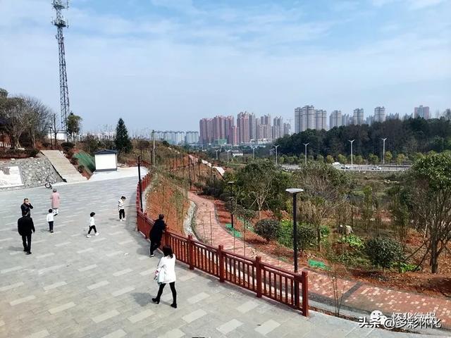 网友建议：修建怀化迎丰公园与怀化植物园桥梁通道，方便市民游览