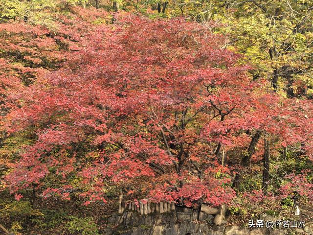 2025辽宁赏秋之旅日记(4)——游览关门山和本溪水洞