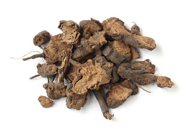 草原、沙漠与森林的密语：探访内蒙古那些不为人知的“宝藏”