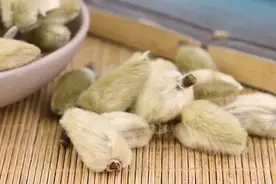 倪海厦：鼻炎，就是鼻腔被冻住了，用好一方补足阳气图片