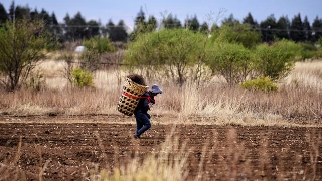 漂亮女邻居老公常年出差，她家灯泡总坏，每次都喊我去修
