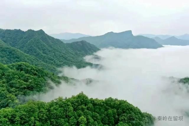 当秋雨掠过秦岭的山脊,汉中悄悄美成写意水墨画