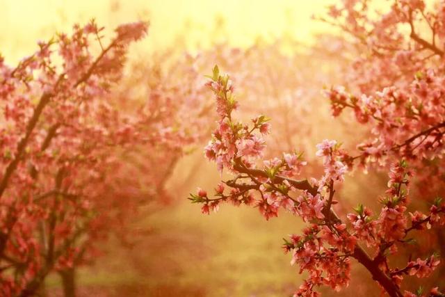 已就位！江阴又一网红打卡点！