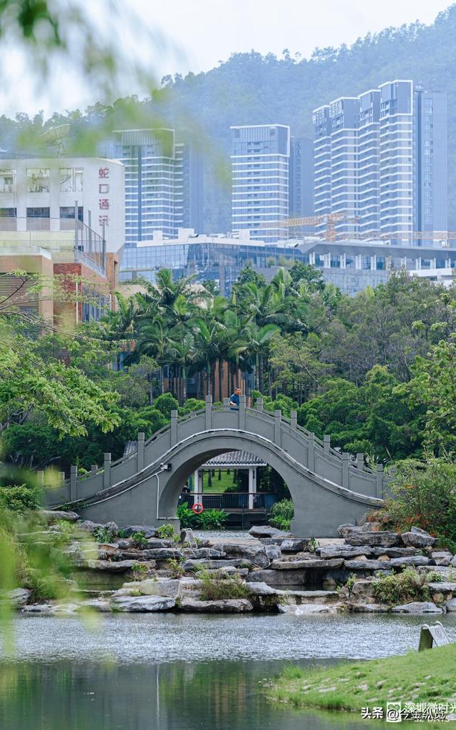 深圳这路承载几代人悲欢！2.3公里藏半生，老蛇口人为何念念不忘